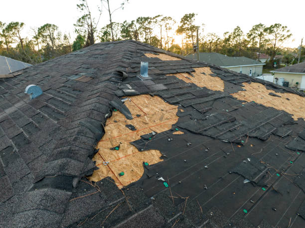 Best Roof Leak Repair  in Crimora, VA
